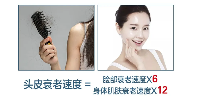 1600664676445809.png image.png