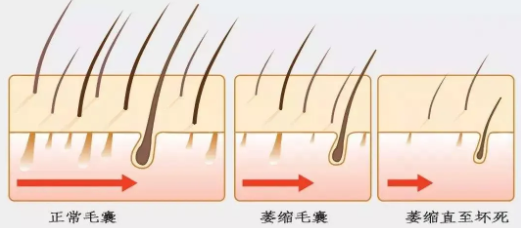 1600664884640958.png image.png