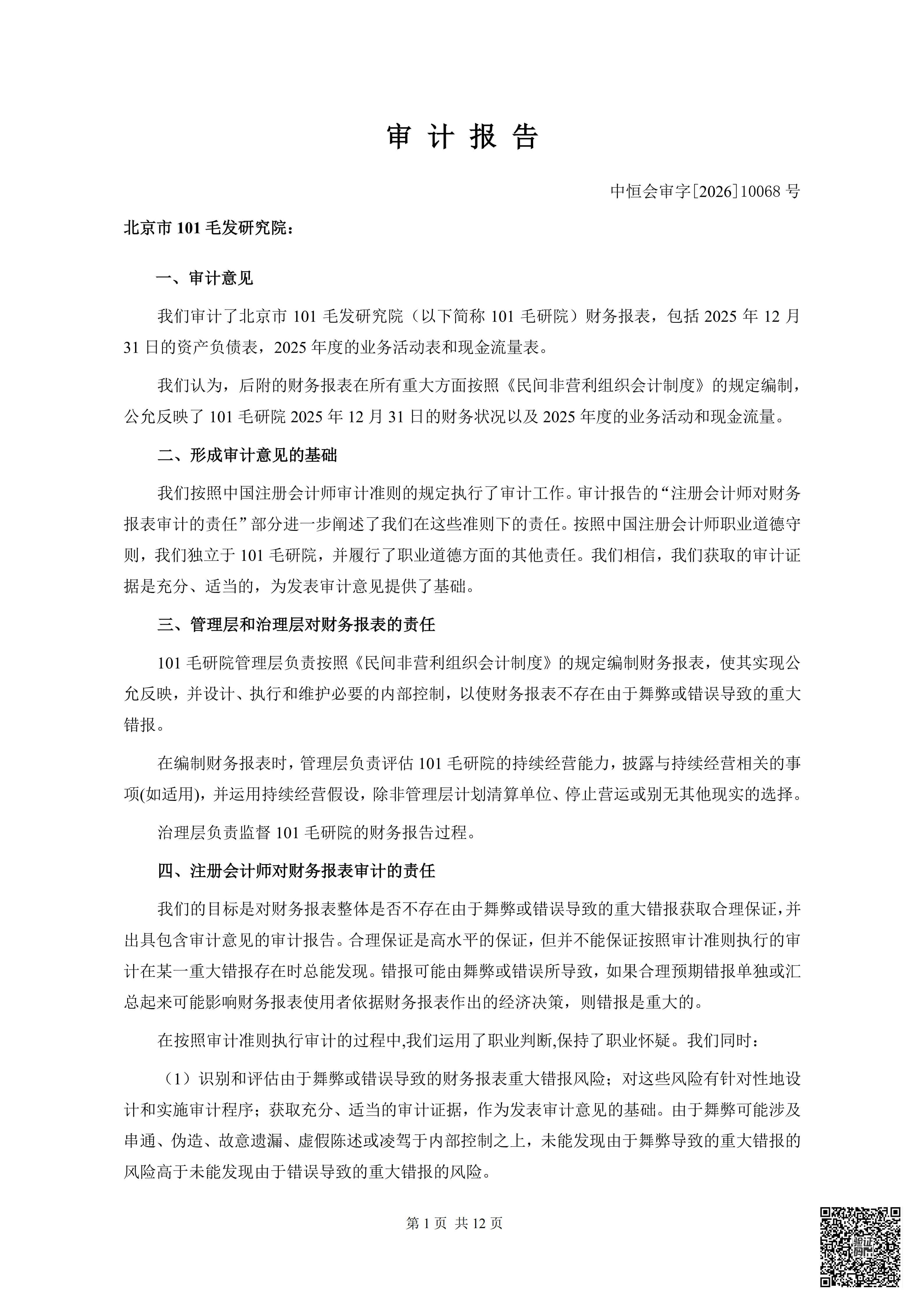 审计报告1